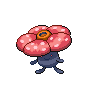 tentacool